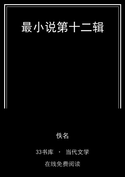 最小说第十二辑封面